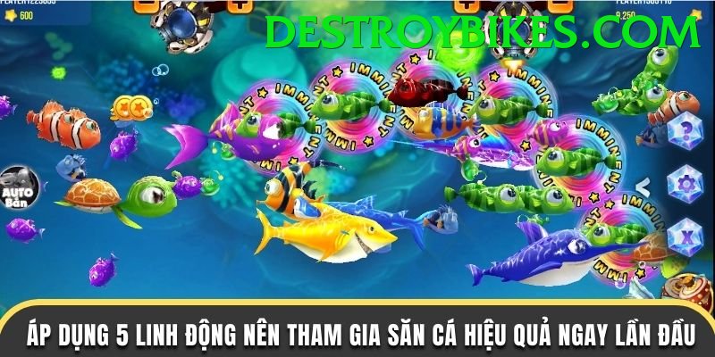 Game Bắn Cá Đổi Thưởng - du88